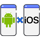 Cross-Platform Development